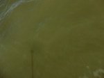 2012-09-21_14-26-13_CIMG3210.JPG