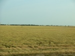 2012-08-30_11-29-18_CIMG0074.JPG