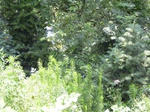 3577 145.jpg