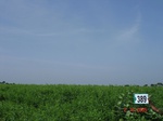 62240389c-rainfed-agriculture-grams.jpg