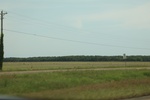 2022-06-11_16-13-10_38D31521-847E-494F-87B6-FE8A79E9BF9E.jpeg