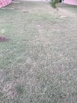 2020-09-30_15-47-41_2020-9-30-7-22-46.jpg