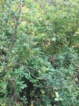 2020-10-03_15-59-59_18E98940-CEC6-410E-B587-3EFD6BC846FD.jpg