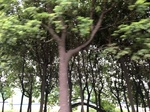 2017-09-10_08-38-34_BEA1D114-E111-423D-BDEB-BE625849E9B7.jpg