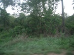 4081RIMG0386.JPG