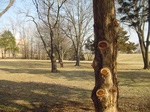10077DSC02803.JPG
