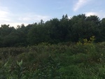 2018-09-05_14-40-25_3F8F9353-0D2B-49D7-AB05-CA8A7D5CA02A.jpg