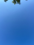 2020-09-06_17-46-59_2020-9-6-16-56-40.jpg