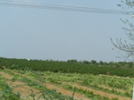 513522042008(75).JPG