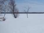 2017-02-21_14-48-33_Feb17-012-VT.jpg