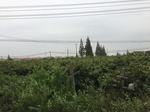 2017-09-12_13-35-49_6915FBE9-B488-43D3-A2D4-BF47CA77CA2B.jpg
