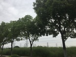 2017-09-10_06-44-50_BA0EA546-0D94-4FE6-95BE-59DD0CD12AA8.jpg