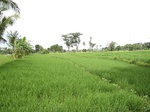 16168IMG_4926.JPG