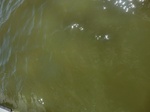 2012-09-21_14-26-07_CIMG3206.JPG