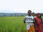 73860299a-irrigated-canal-rice-doublecrop-wheat.jpg