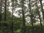 2017-09-10_20-32-33_2717B8BB-7F2E-40EC-82DE-13589E3504CD.jpg