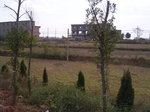3197R0017231.JPG