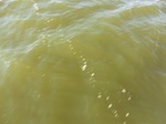 2012-09-21_14-25-52_CIMG0027.JPG