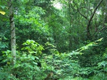 547911052008(49).JPG
