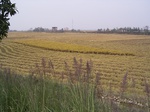 3267R0017301.JPG