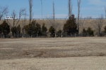 10123Field Survey 1 012.JPG