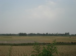 18169DSC08484.JPG