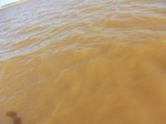 2012-09-21_14-26-17_CIMG0052.JPG