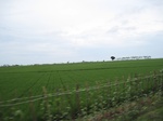 16118IMG_4863.JPG
