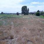 2018-07-04_14-26-33_South.jpg