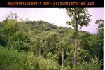 40431ANH225.JPG