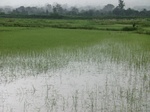2012-09-07_10-16-22_CIMG6689.JPG