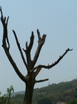 1728820042008(70).JPG