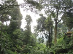 13891IMG_4172.JPG