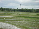 21300DSC00681.JPG