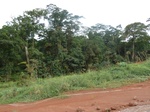 19923P1010773.JPG
