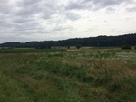 2016-07-28_01-04-06_C3359471-263D-49BF-B849-F07CC65AC121.jpg