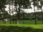 2017-09-12_10-29-16_D0E04B21-317F-47E3-B100-2F50E81EA92B.jpg
