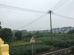 2017-09-10_08-35-05_69D3ADCA-245F-446D-BCB9-1ABBAB86FB72.jpg