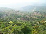 506720042008(119).JPG