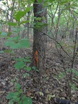 2012-09-24_10-40-15_DSC03062.JPG