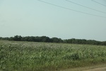 2022-06-11_17-54-55_97495C88-1EB1-43A6-A2E1-65438D825D62.jpeg