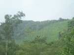 2012-09-08_19-26-19_RIMG0164.JPG