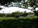 5591100_0995.JPG