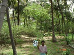 6262046b-irrigated-minor-supplemental-plantation-coconut-dominant-minor-patches-of-other-crops.jpg