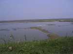 2808 031.jpg