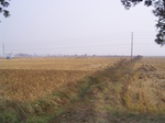 3098 031.jpg