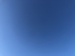 2020-10-04_15-49-32_2020-10-1-18-28-34.jpg