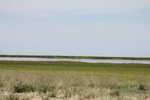 38823Canon Aug 1 099.jpg