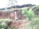 15294IMG_4128.JPG