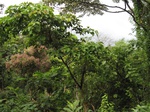 14209IMG_4548.JPG